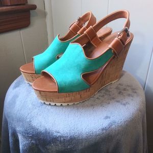 Dolce Vita Platform Wedge Sandals